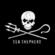 Logo Sea Shepperd Quadrado em Boa Resolução
